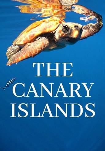 Poster of The Canary Islands