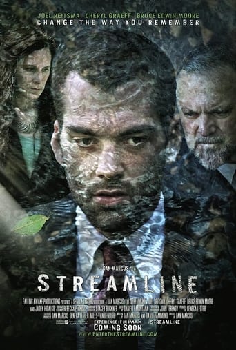 Poster of Streamline