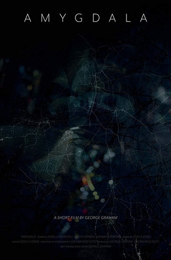 Poster of Amygdala