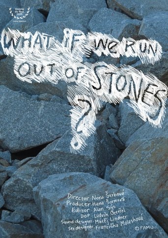 Poster of What If We Run Out of Stones?
