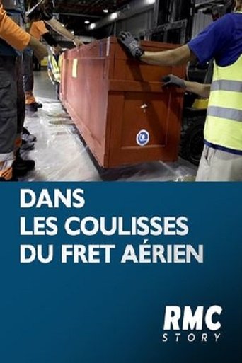 Poster of Dans les coulisses du fret aérien