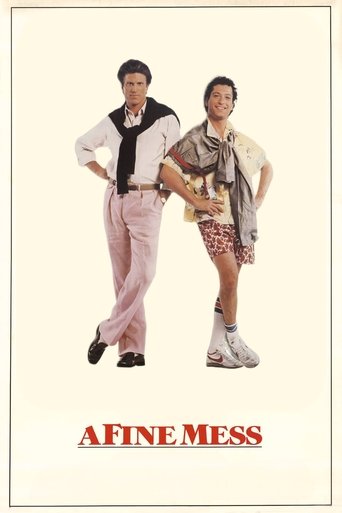 Poster of A Fine Mess