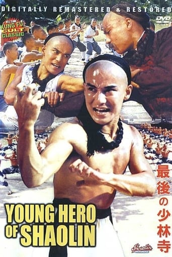 Poster of The Young Hero of Shaolin