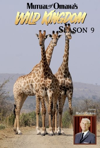 Portrait for Mutual of Omaha's Wild Kingdom - Season 9