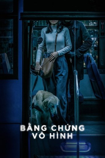Poster of Invisible Evidence