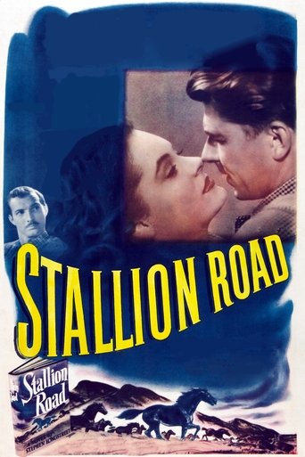 Poster of Stallion Road