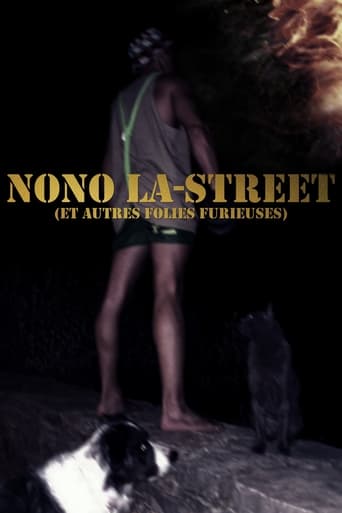 Poster of Nono La-Street (et autres folies furieuses)