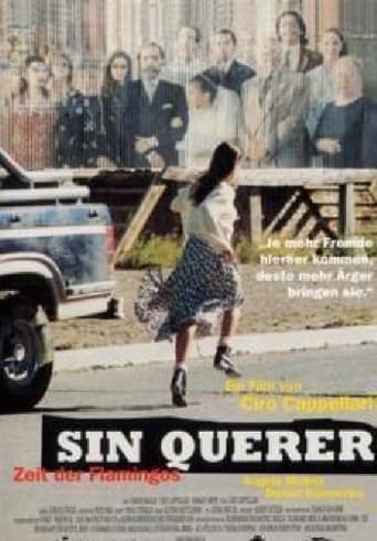 Poster of Sin querer