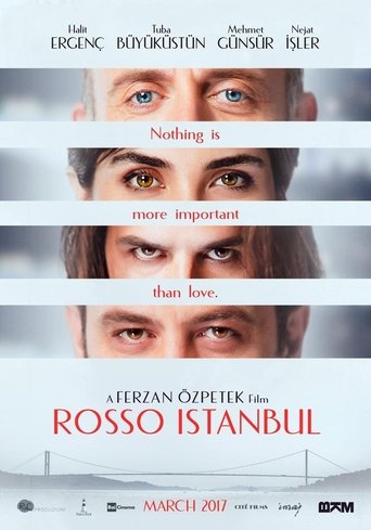 Poster of Red Istanbul