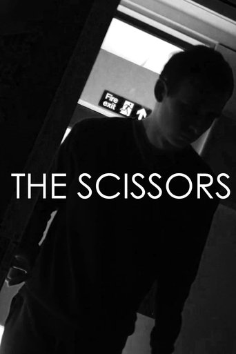 Poster of The Scissors
