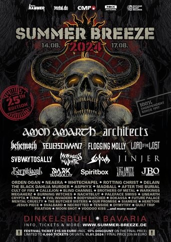 Poster of Subway To Sally: Live at Summer Breeze 2024