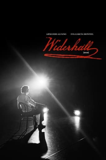 Poster of Widerhall