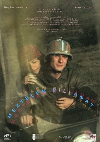 Poster of Our Tender Moment