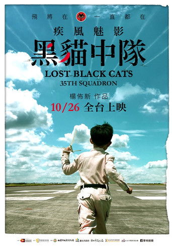 Poster of Lost Black Cats 35TH Squadron