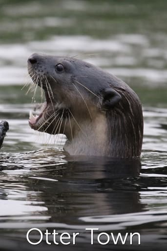 Poster of Otter Town