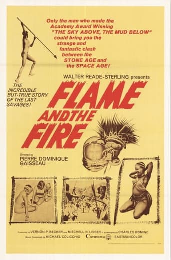 Poster of Flame and the Fire