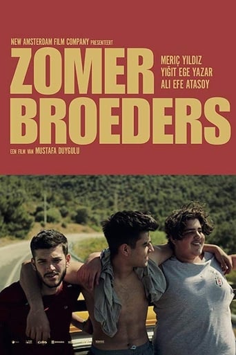 Poster of Summer Brothers