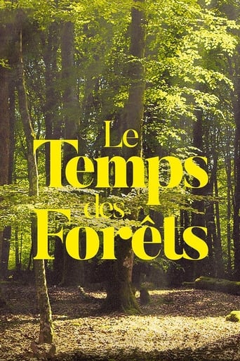 Poster of The Time of Forests