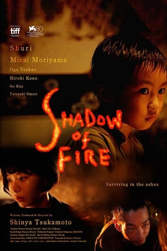 Poster of Shadow of Fire