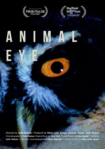 Poster of Animal Eye