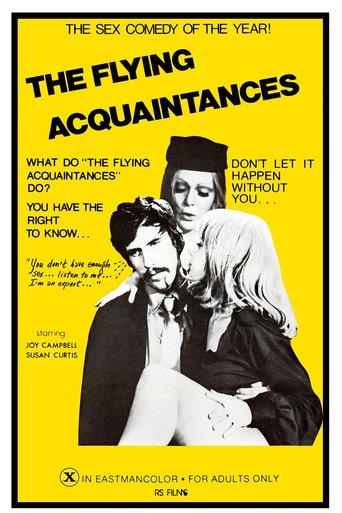 Flying Acquaintances Poster of Flying Acquaintances