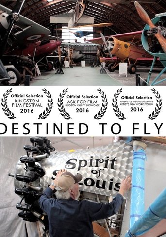 Poster of Destined to Fly