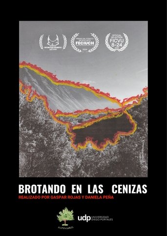 Poster of Brotando en las cenizas