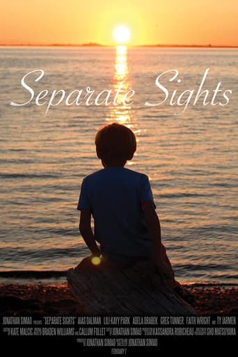 Poster of Separate Sights