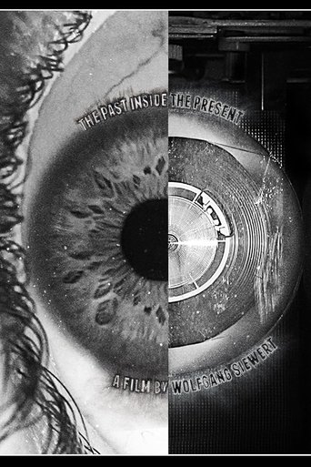Poster of The Past Inside The Present