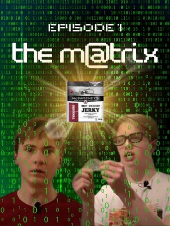 Poster of Finger Lickin the SHOW - "The Matrix"