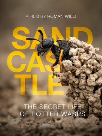 Poster of Sandcastle - The Secret Life Of Potter Wasps