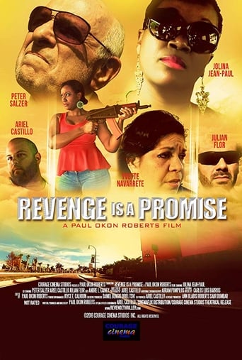 Poster of Revenge is a Promise