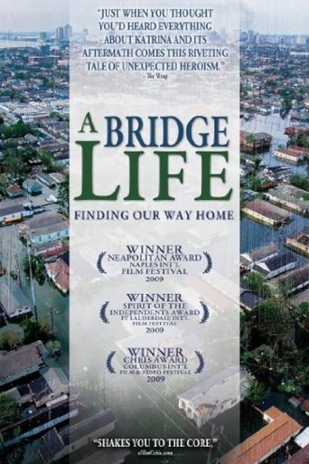 Poster of A Bridge Life: Finding Our Way Home