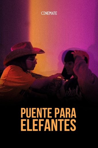 Poster of Puente Para Elefantes