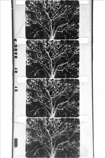 Poster of un arbre