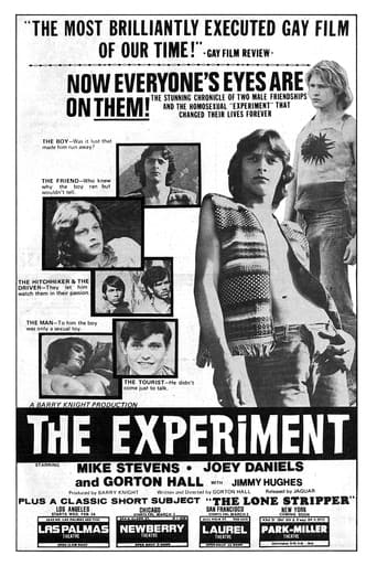 Poster of The Experiment