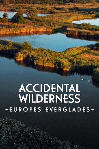 Poster of The Accidental Wilderness: Europe's Everglades