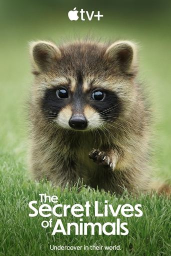 Poster of The Secret Lives of Animals