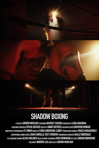 Poster of Shadow Boxing