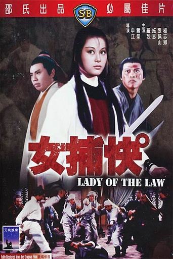 Poster of Lady of the Law