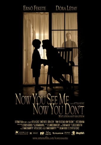 Poster of Now You See Me, Now You Don't