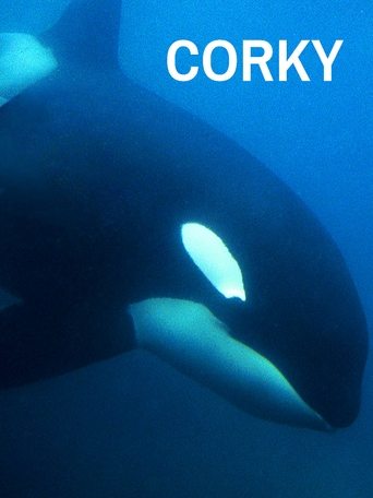 Poster of CORKY