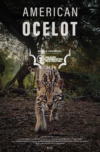 Poster of American Ocelot