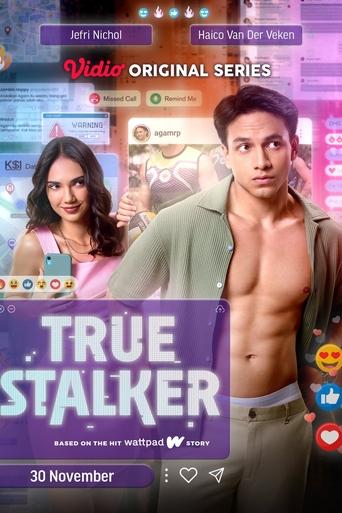 Poster of True Stalker