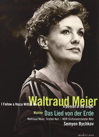 Poster of Waltraud Meier: I follow a voice within me