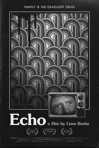 Poster of Echo