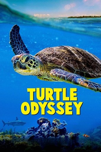 Poster of Turtle Odyssey