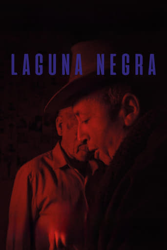 Poster of Laguna negra