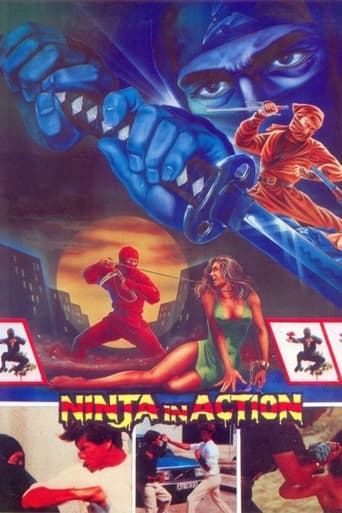 Poster of Ninja in Action