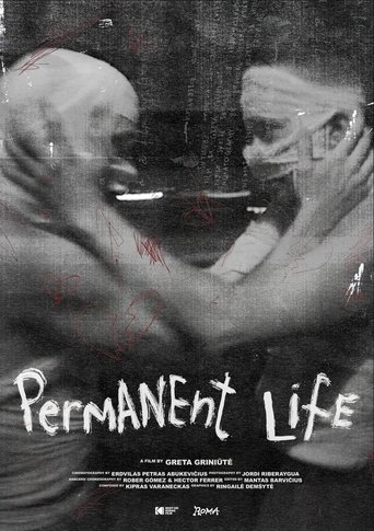 Poster of Permanent Life